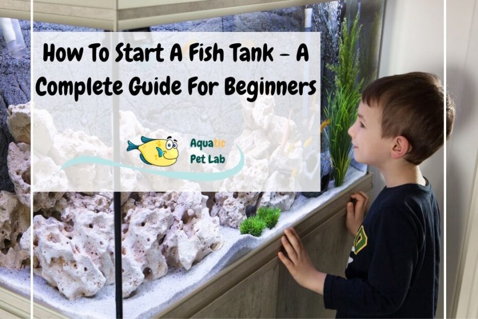 How To Start A Fish Tank A Complete Guide For Beginners Aquatic Pet Lab