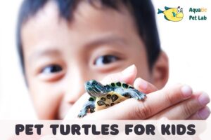 Pet Turtles For Kids